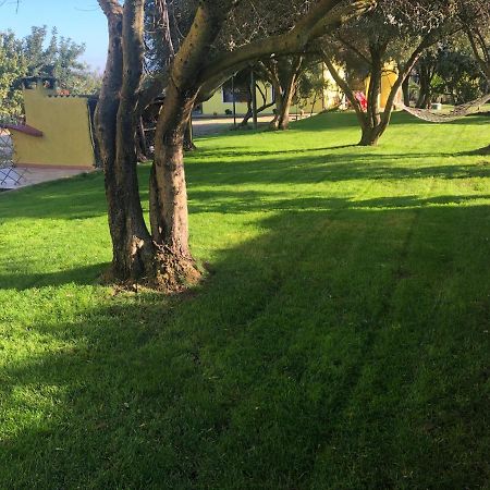 Il Ginepro Hotel Valledoria Kültér fotó